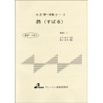 楽譜 BSP1011 大正琴一斉奏ピース 昴（すばる） ／ ブレーメン〔大正琴用楽譜〕
