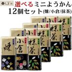 ショッピング1000円ポッキリ 送料無料 「 選べる ミニようかん 58g 12個 セット 」 羊羹 ようかん 井村屋 和菓子 和 スイーツ 一口サイズ 煉 抹茶 小倉 税別 1000円ポッキリ 送料無料