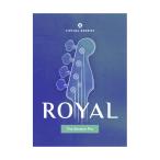 特価 2026/08/15迄 UJAM ユージャム Virtual Bassist Royal  メール納品 代引き不可