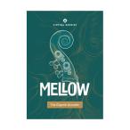  специальная цена 2026/08/15 до UJAM You джем Virtual Bassist Mellow mail поставка товара наложенный платеж не возможно 