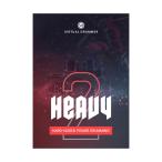UJAM ユージャム Virtual Drummer Heavy  メール納品 代引き不可