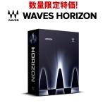 【過去最安値！ 数量限定特価】 WAVES ウェーブス Horizon プラグインバンドル 初めてのプラグインにオススメ！