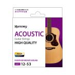 HISTORY ヒストリー AH1253P アコースティックギター弦 日本製 .012-.053 ライト