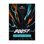 [数量限定特価] UJAM ユージャム Finisher BOOST