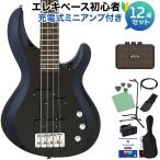 AriaProII Aria Pro 2 IGB-STD MBK основа начинающий 12 позиций комплект заряжающийся Mini усилитель есть PJ модель 