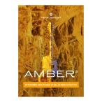 特価 2026/05/10迄 UJAM ユージャム Virtual Guitarist AMBER 2  メール納品 代引き不可