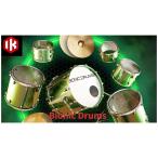 IK Multimedia IK мультимедиа SampleTank 4 Bionic Drums soft источник звука mail поставка товара наложенный платеж не возможно 