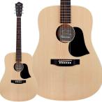 aNueNue アヌエヌエ D01 アコースティックギター トップ単板 ドレッドノート ケース付属 Singer Guitars