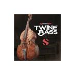 SOUNDIRON звук железный TWINE BASS 2.0 soft источник звука B7412 mail поставка товара наложенный платеж не возможно 