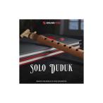 SOUNDIRON звук железный SOLO DUDUK soft источник звука C1211 mail поставка товара наложенный платеж не возможно 