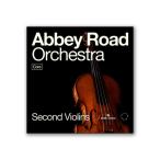 SPITFIRE AUDIO ABBEY ROAD ORCHESTRA: 2ND VIOLINS CORE soft источник звука 2nd скрипка специальный источник звука C5420 mail поставка товара оплата при получении не возможно 