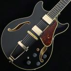 Ibanez アイバニーズ AMH90　S/N：PW25050457 フルアコ 未展示品