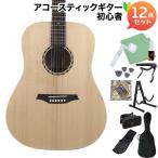 BromobromoBAT1N акустическая гитара начинающий 12 позиций комплект верх одиночный доска 