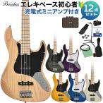 Bacchus Bacchus WJB-750M-ASH основа начинающий 12 позиций комплект заряжающийся Mini усилитель есть электрический бас Universe серии 