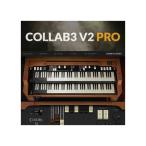 SAMPLESON サンプルソン CollaB3 Pro ソフト音源　オルガン音源  メール納品 代引き不可