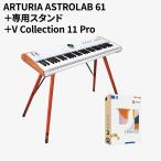  ограниченное количество специальная цена ARTURIAa- Tria ASTROLAB 61 BUNDLE специальный подставка Wooden Legs источник звука плагин V Collection 11 Pro комплект 