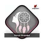 VENGEANCE SOUND Ben jens* звук Vocal Dreams soft источник звука AVENGER2 повышение упаковка mail поставка товара наложенный платеж не возможно 