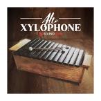 SOUNDIRON звук железный ALTO XYLOPHONE mail поставка товара наложенный платеж не возможно 