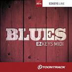 特価 2026/07/31迄 TOONTRACK トゥーントラック KEYS MIDI - BLUES  EZ KEYS用MIDIライブラリ   メール納品 代引き不可