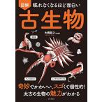[ новый товар день текст . фирма ].. нет становится примерно поверхность белый иллюстрация старый живое существо :... симпатичный,sgo.. шт ..! futoshi старый. живое существо. очарование . понимать 