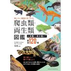 「新品　メイツ」飼いたい種類が見つかる 爬虫類・両生類図鑑 人気種から希少種まで厳選120種