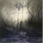 ( прокат )bla заднее крыло * park [CD]o-pes