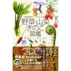  травы * дикоросы *.. . иллюстрированная книга [ новый товар день текст . фирма ]