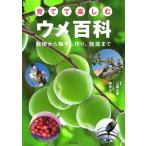 ( б/у )... приятный ume различные предметы культивирование из маринованные сливы . конструкция, эффект до [ монография ] три колесо правильный . глициния шт ...