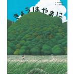 ( б/у ).... ...(.. фирменный произведение книга с картинками ) Shibata .. структура поверхности takahito