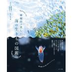 (USED) бог ... прекрасный море. сырой кимоно иллюстрированная книга .. super futoshi ; камень .. futoshi 