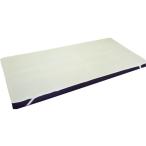 Yahoo! Yahoo!ショッピング(ヤフー ショッピング)ドリームエアーパッド110 / DAP100-91R　幅91cm（オーシン）