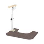 ATTOGRIP( at рукоятка ) туалет поддержка H-S / 870-087(a long ..)