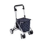 �J�m�� / �N���V�b�N�K�[�f��BK�i�����쏊�j