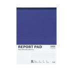  плюс отчет накладка RE-250B A4 B.10 шт. RE-250B(10) *10 шт упаковка 