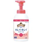 ライオン キレイキレイ泡ハンドソープ５５０ｍＬ　フルーツ ０ ★10個パック