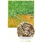【改良センチピートグラス種子】タキイ種苗　人気の夢の芝草「ティフブレア」50ｇ〜1坪分　PVP登録品種　★オリジナル小袋　