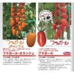【ミニトマト種子】ダイヤ交配（トキタ種苗）濃密クリスピータイプ　「フラガール」「フラガールオランジェ」小袋8粒　　★新タネは7月中旬以降のお届を予定