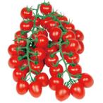 �y�~�j�g�}�g��q�z�F����z�i�ێ��c�j�@�Â����@�i���܂����j�@���܁@���V�^�l�͎�q�ؑւ���12���ȍ~�̂��͂���\��