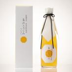 島のなごみマンゴー 12