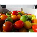  максимальный фрукты помидор Mix 1kg(.....+ Crea ) драгоценнный камень коробка 