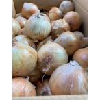  Hokkaido производство есть перевод лук репчатый примерно 5kg