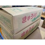 国産　きゅうり　約5ｋｇ　1箱