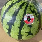  во всяком случае .. Kumamoto. теплица арбуз 2L размер X1 шар 7kg и больше 