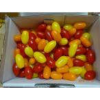  Toyohashi производство высота сахар раз фрукты мини помидоры ..... Crea MIX(3 цвет )1kg