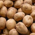  местного производства есть перевод новый ...M размер примерно 10kgx1