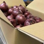  Япония производство красный шар лук порей ( early красный ) M размер примерно 2kg