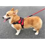  собака Harness одним движением XS/S/M/L красный / голубой / черный 