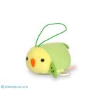 sinada. ..... удача маленький se регулирование длиннохвостый попугай зеленый 