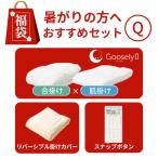 福袋2026グースリー2肌掛け/合掛け掛布団リバーシブル掛けカバー付き