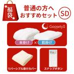 福袋2026グースリー2本掛け/肌掛け掛布団リバーシブル掛けカバー付き